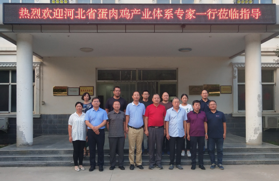 调研曲周suncitygroup太阳新城