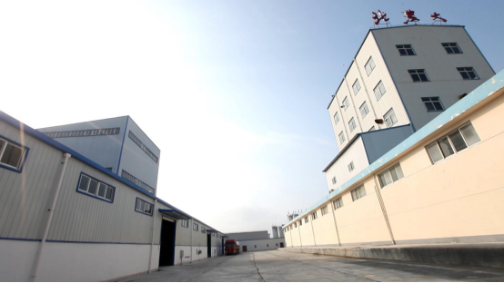 湖北suncitygroup太阳新城获殊荣