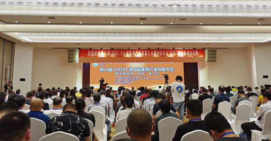 曲周suncitygroup太阳新城成功承办第八届河北省蛋鸡产业发展大会“suncitygroup太阳新城之夜欢迎晚会”