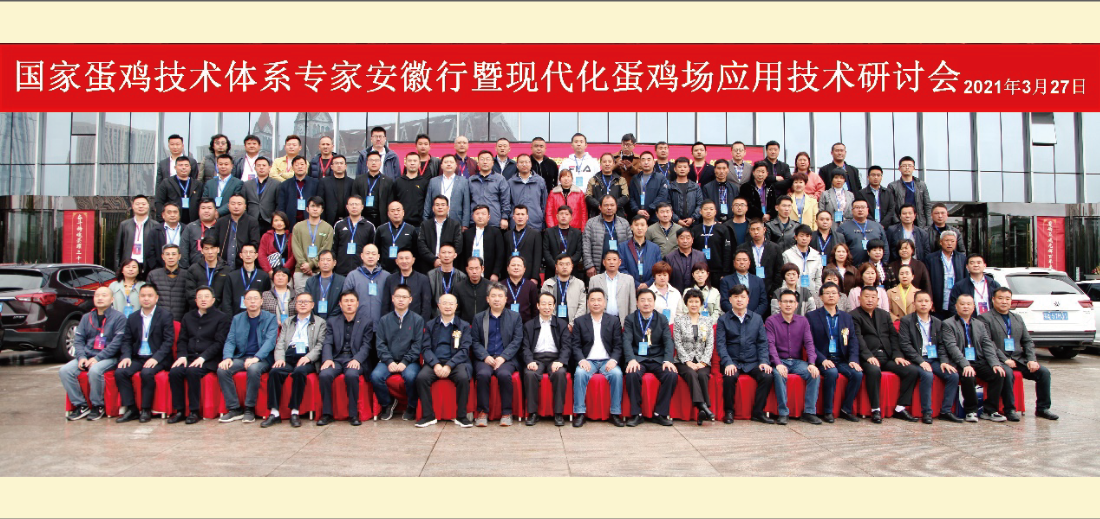 安徽suncitygroup太阳新城成功举办“国家蛋鸡产业技术体系专家行暨现代化蛋鸡场应用技术研讨会”