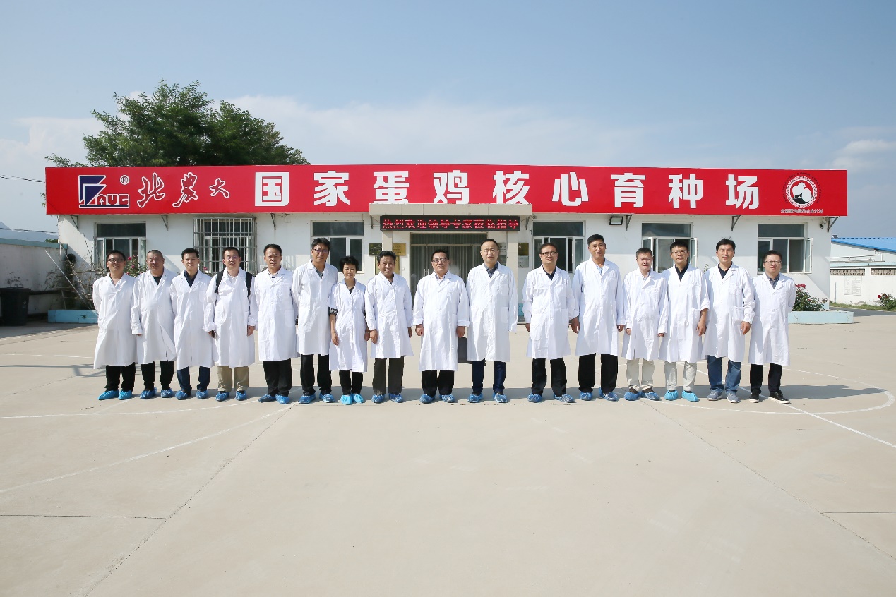 全国畜牧总站站长王宗礼一行调研公司延庆蛋鸡育种基地