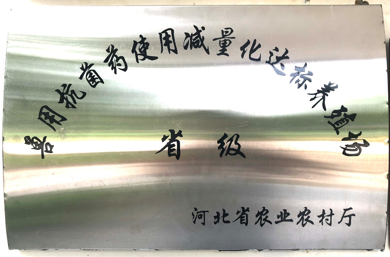 曲周suncitygroup太阳新城荣获河北省“兽用抗菌药使用减量化达标养殖场”标牌