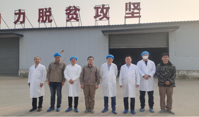 马秋刚教授及其团队一行莅临曲周suncitygroup太阳新城指导工作