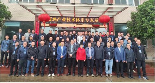 南方规模鸡场培训会在suncitygroup太阳新城安陆基地顺利召开