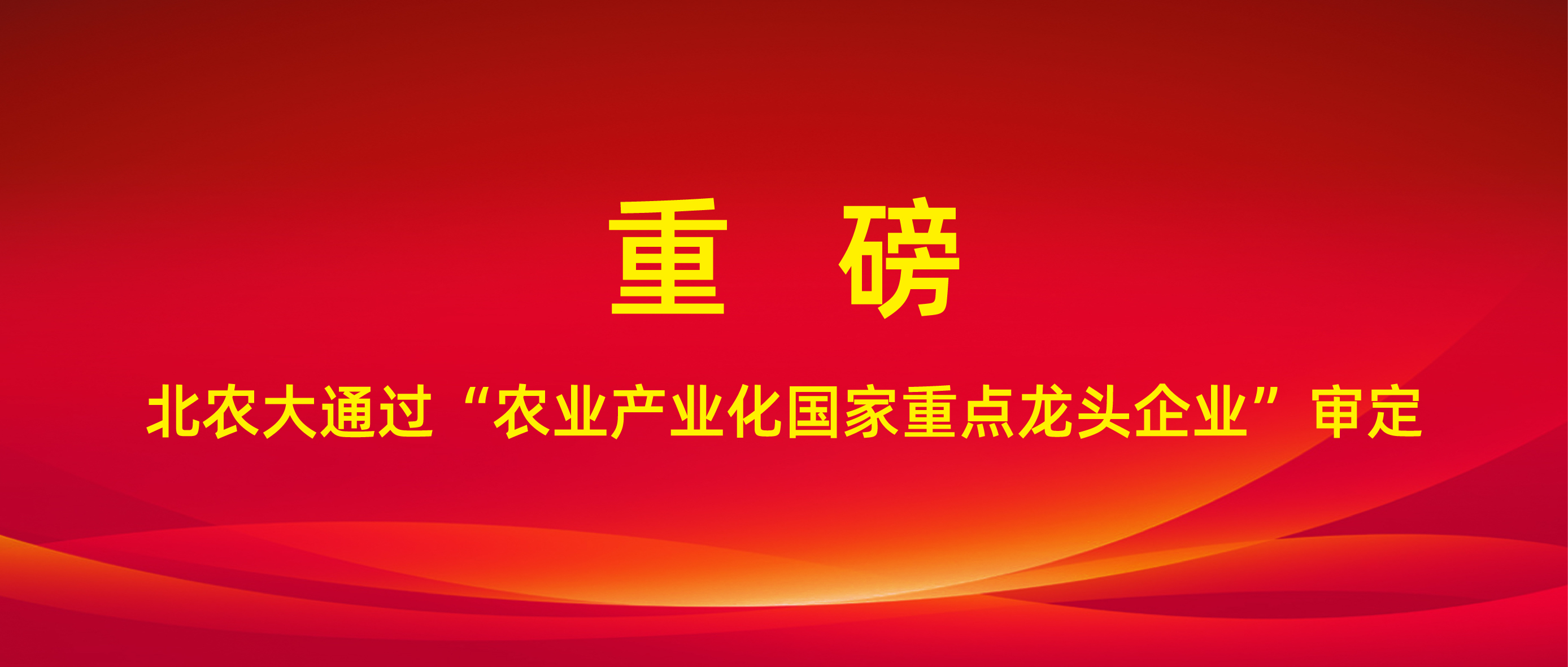 重磅！suncitygroup太阳新城通过“农业产业化国家重点龙头企业”审定