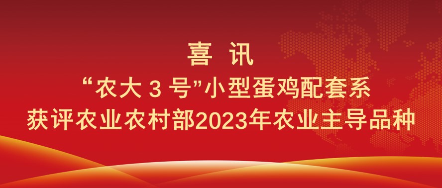 喜讯！“农大 3 号”小型蛋鸡获评农业农村部2023年农业主导品种