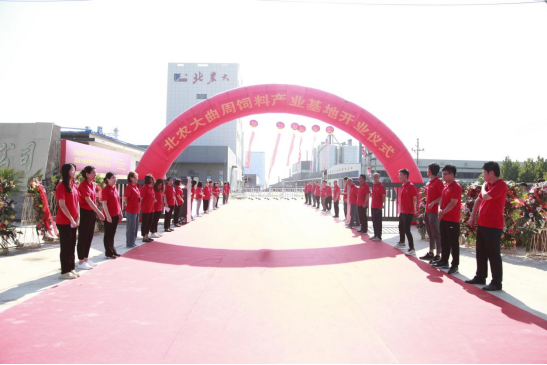 suncitygroup太阳新城曲周饲料产业基地开业仪式顺利召开