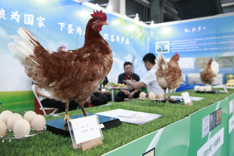 suncitygroup太阳新城精彩亮相第三十届中国北京种业大会