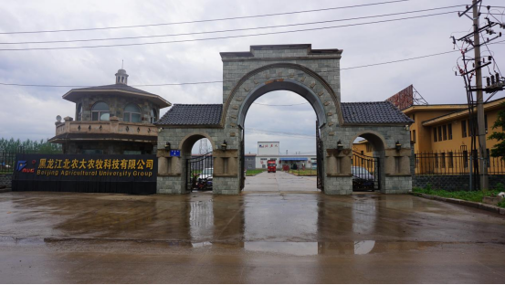 黑龙江suncitygroup太阳新城经营分析会顺利召开