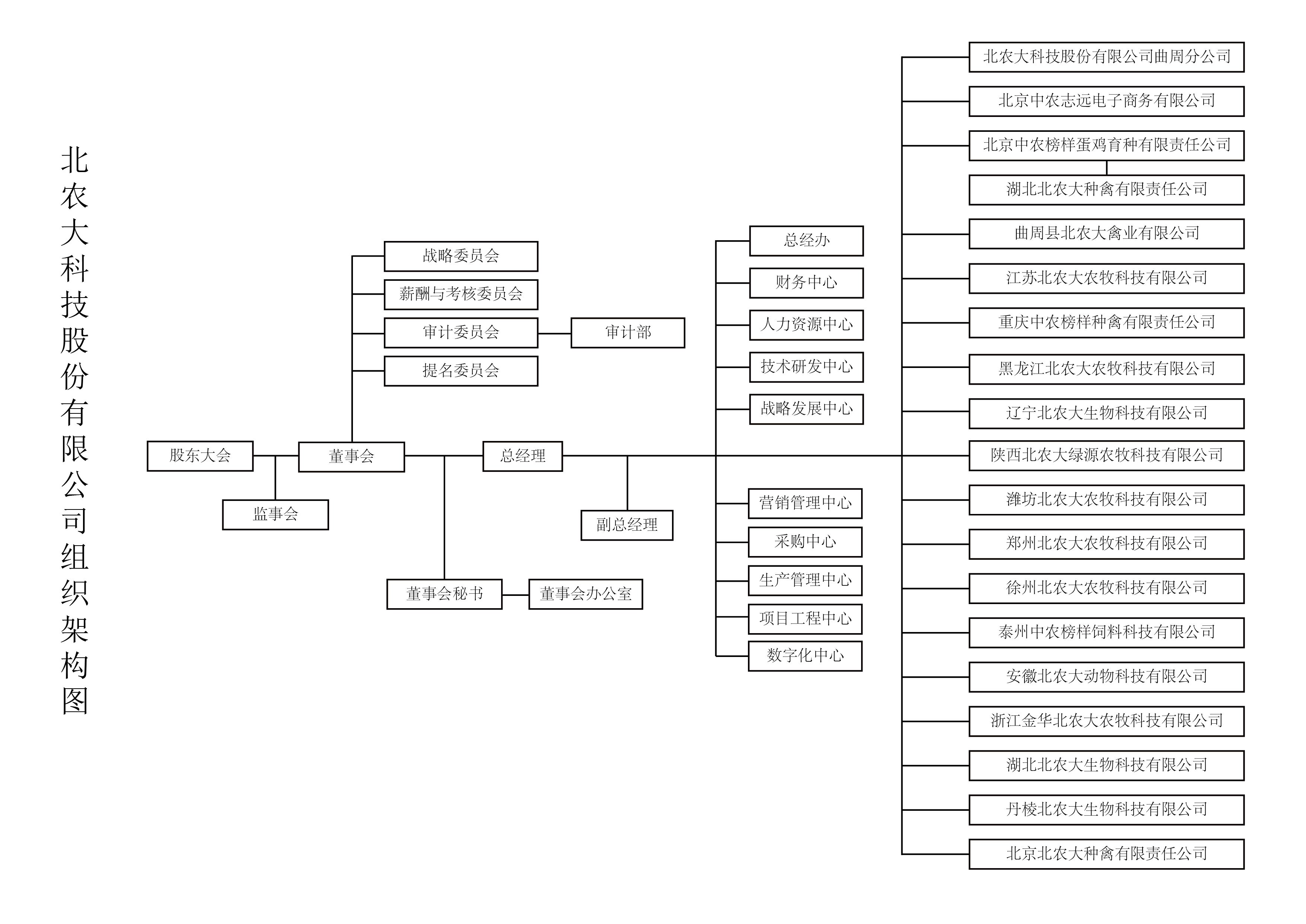 组织架构图suncitygroup太阳新城1_画板 1.png