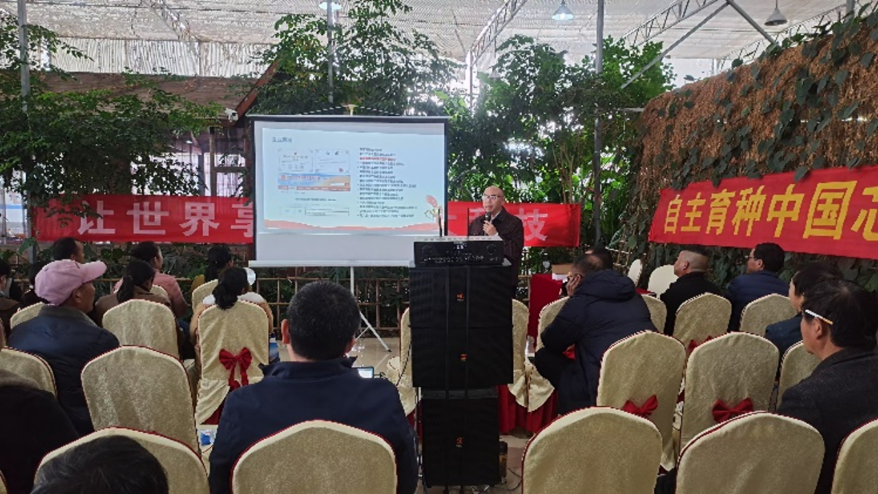 suncitygroup太阳新城祥云县技术交流会顺利召开