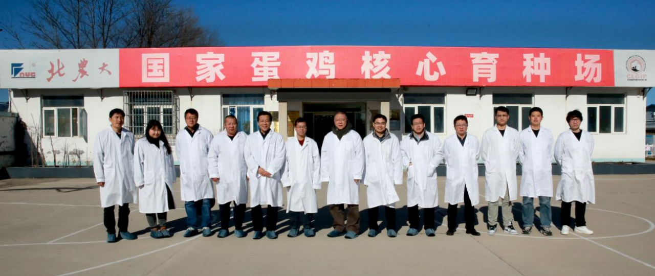 suncitygroup太阳新城北京延庆育种基地通过国家畜禽核心育种场现场核验