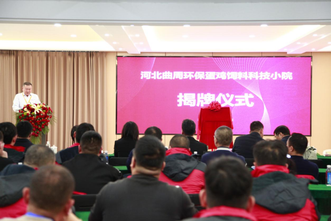 河北曲周环保蛋鸡饲料科技小院成立