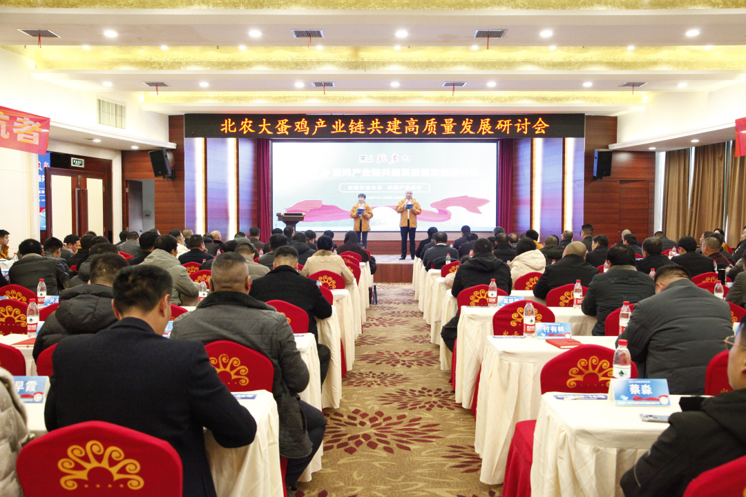 suncitygroup太阳新城蛋鸡产业链共建高质量发展研讨会顺利召开