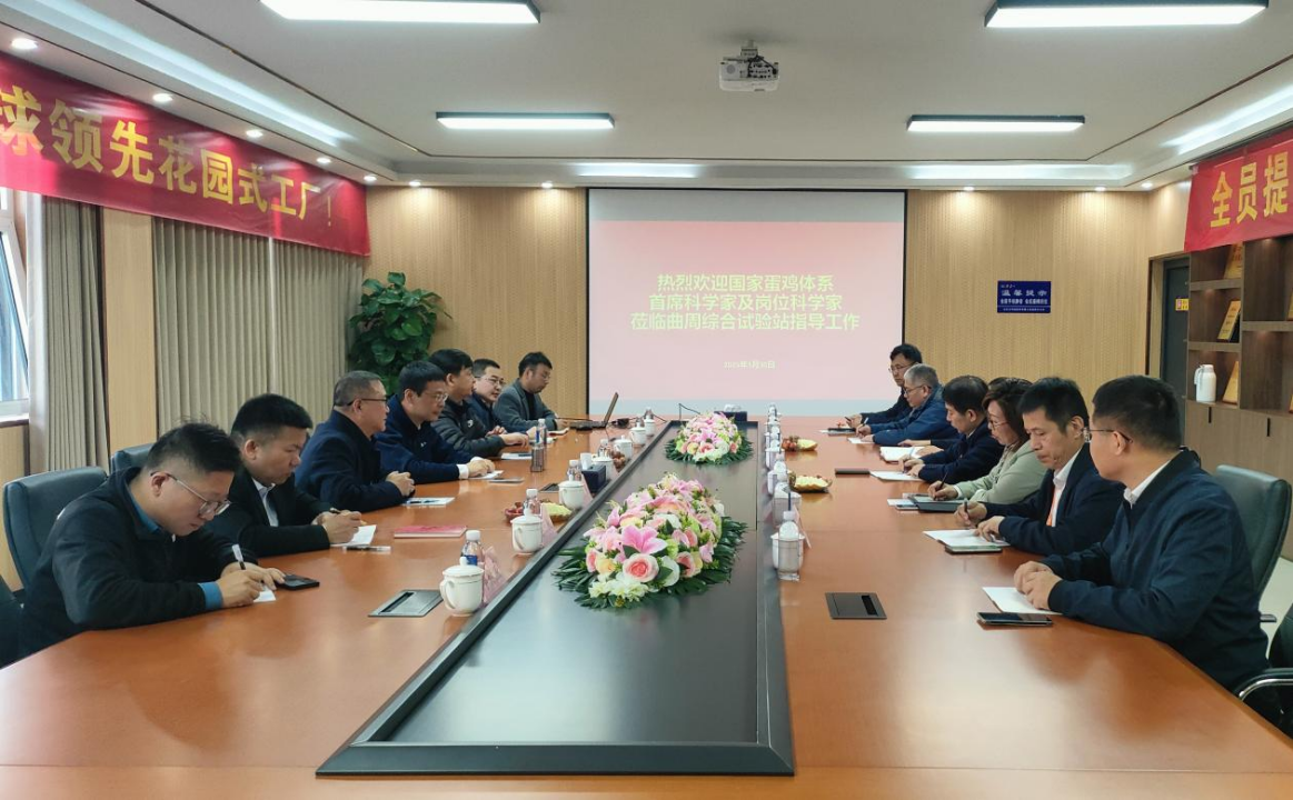 国家蛋鸡产业技术体系首席科学家张军民莅临曲周综合试验站考察调研