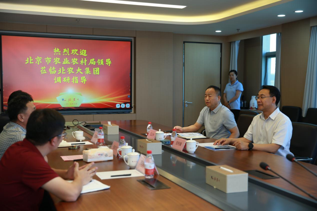 北京市委、市农业农村局领导莅临suncitygroup太阳新城总部调研、指导工作